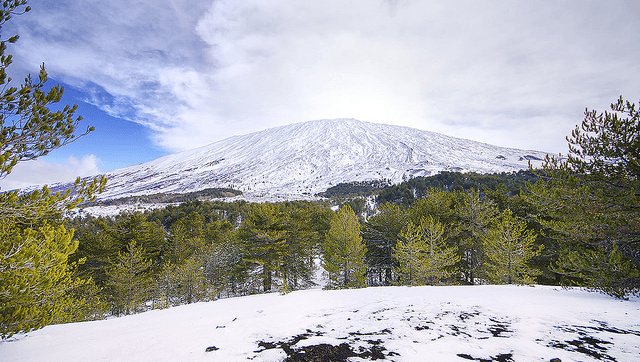 Mountain Covreted With Snow With Green Pine Trees At Daytime