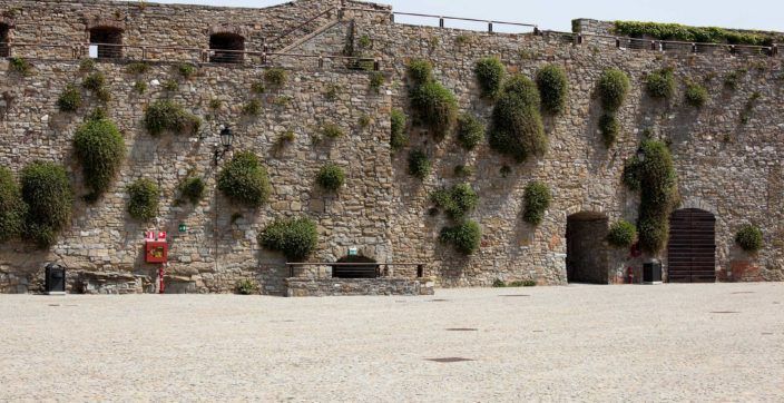 an old stone wall with green shrubs growing out of it rising up from a cobblestone courtyard